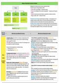 Overview of all lecture material and articles of Strategy & Organisation Pre Master Business Administration