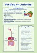 Samenvatting thema 2 voeding biologie voor jou basis/kader leerjaar 2 