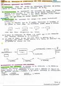 TEMA 8.EFICACIA E INEFICACIA DE LOS CONTRATOS