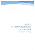 Neuropsychologische stoornissen