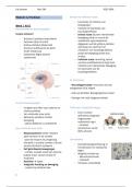 Fysiotherapie Samenvatting module 3.2 Leerjaar 2, 2023-2024