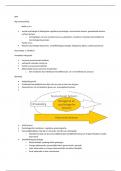 Samenvatting identiteit en de diverse mens (IDM) (8,25)