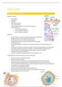 Samenvatting Algemene microbiologie - deel Virologie