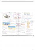 Mind map summary of transport across membranes 