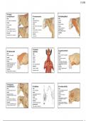 Flashcards locomotie PR2