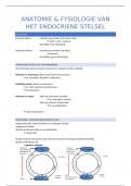 Anatomie en fysiologie van het endocrien stelsel