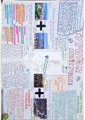 GCSE Geography (AQA Grade 9-1) Case Study for Typhoon Haiyan