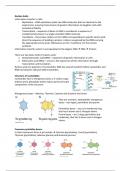 Summary of Nucleic Acids 