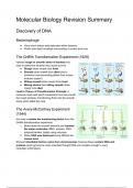 Molecular Biology Summary Notes 