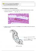 Lab Assignment 3 ANATCELL 3309