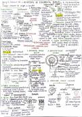 Anatomy of flowering plants short notes