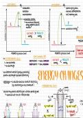 Chemistry Module 5 — Energy Changes