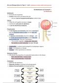 Unit 1 Summary Edexcel International A Level Biology - Chapter 2