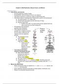 Chapter 8 - DNA Replication, Binary Fission, and Mitosis