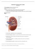 URINARY SYSTEM STUDY GUIDE Jillian Kelly