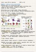 Algemene immunologie: lesnotities/samenvatting