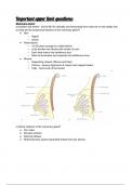 Upper limb summary