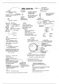 Summary DNA-  Life Sciences (Biology)