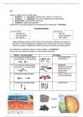 Samenvatting aardrijkskunde 5 havo hoofdstuk 2 aarde