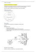 Module 1.6 samenwerken als ergotherapeut (NEUROLOGIE)