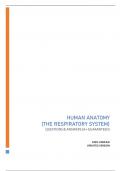 HUMAN ANATOMY (THE RESPIRATORY SYSTEM) UPDATED VERSION