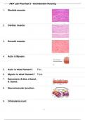 BIO 252 A&P LAB PRACTICAL 2 QUESTIONS AND CORRECT ANSWERS