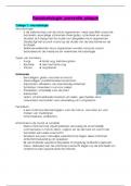 Samenvatting parodontologie, preventie, plaque