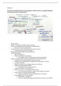 Uitgewerkte examenvragen van weefselleer deel II module 8