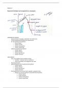 Uitgewerkte examenvragen weefselleer deel II module 7