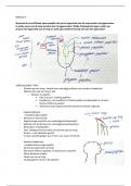 Uitgewerkte examenvragen weefselleer deel II module 5