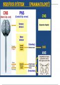 Peripheral Nervous System Course Notes - Easy Simple Concise Understood