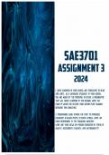 SAE3701 Assignment 3 2024 | Due 25 June 2024