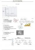 Metabolism, Anabolism, Enzymes.... etc