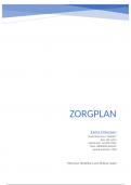 Zorgplan, laag-complexe zorgsituatie 