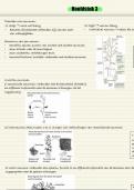 Brein & Cognitie 1: Hoofdstuk 3 