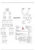 Hypercoagulation Disorders Summary Notes 