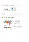 Molecular Microbiology  (AB_470610) summary in english