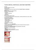 TCDHA DENTAL OROFACIAL ANATOMY MIDTERM