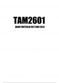 TAM2601 Exam Portfolio October November 2023