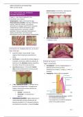 M2-UF2 Estudio de la cavidad oral APUNTES/RESUMEN
