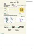 Human Bio Exam 1 Study Notes