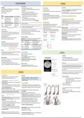 Life Science IEB Evolution notes: making learning easier 