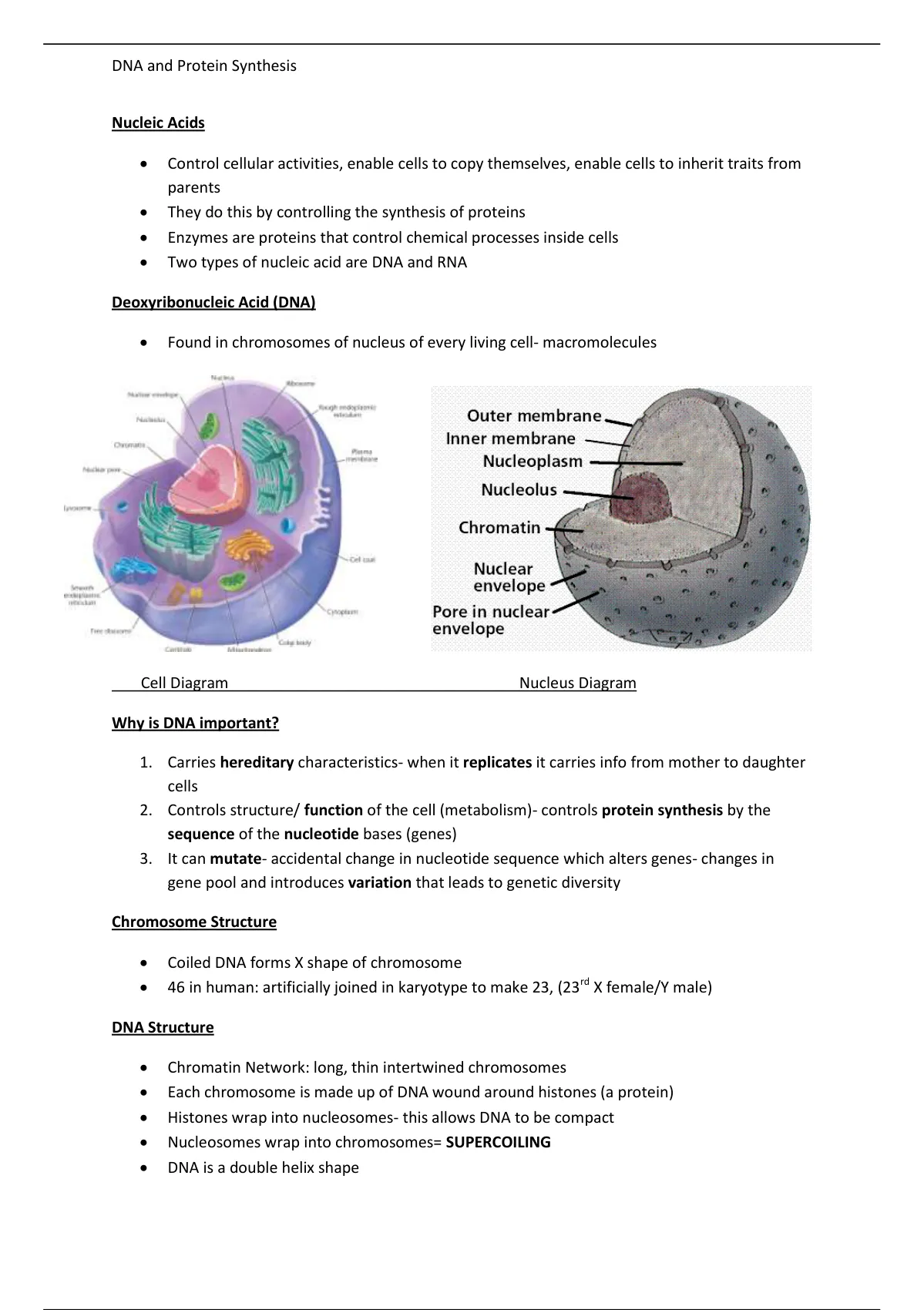 Biology Notes DNA And Protein Synthesis DNA The Code Of Life Gr LS Stuvia SA