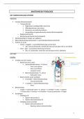 Samenvatting ANATOMIE - algemene menselijke fysiologie