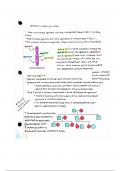 AP Biology Gene Mapping Notes
