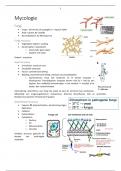 Alle onderdelen van het vak microbiologie
