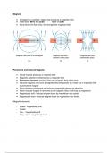 Magnetism Physics GCSE AQA Summary Notes