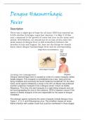 Dengue Haemorrhagic Fever.pdf
