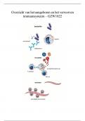 samenvatting van aangeboren en verworven immuunsysteem