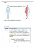 Samenvatting theorie B. (WEEK 49) 